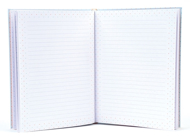 CADERNO VIAJA MUITO -  365 DIAS