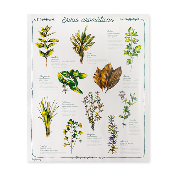SOS COZINHA - POSTER - ERVAS AROMÁTICAS