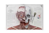 O CORPO HUMANO — UM GUIA EM POP-UP SOBRE ANATOMIA
