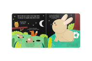 AJUDA A NATUREZA - OS COELHOS
