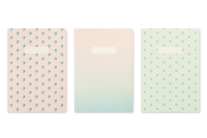 CONJUNTO - 2 CADERNOS A4