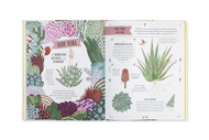 PLANTA